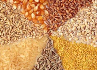 سویا را به زحمت کیلویی 4 هزارتومان پیدا می کنیم