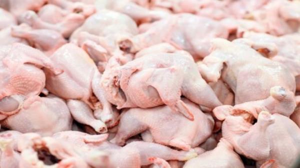 علت اصلی افزایش قیمت گوشت مرغ در کشور خبرنگاران