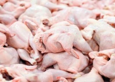 علت اصلی افزایش قیمت گوشت مرغ در کشور خبرنگاران